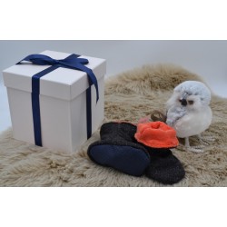 Chaussons bottes noir pailleté intérieur orange