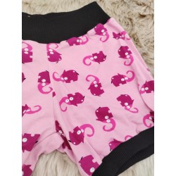 Short élephants rose 1