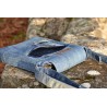 Sac Coneflower Jean